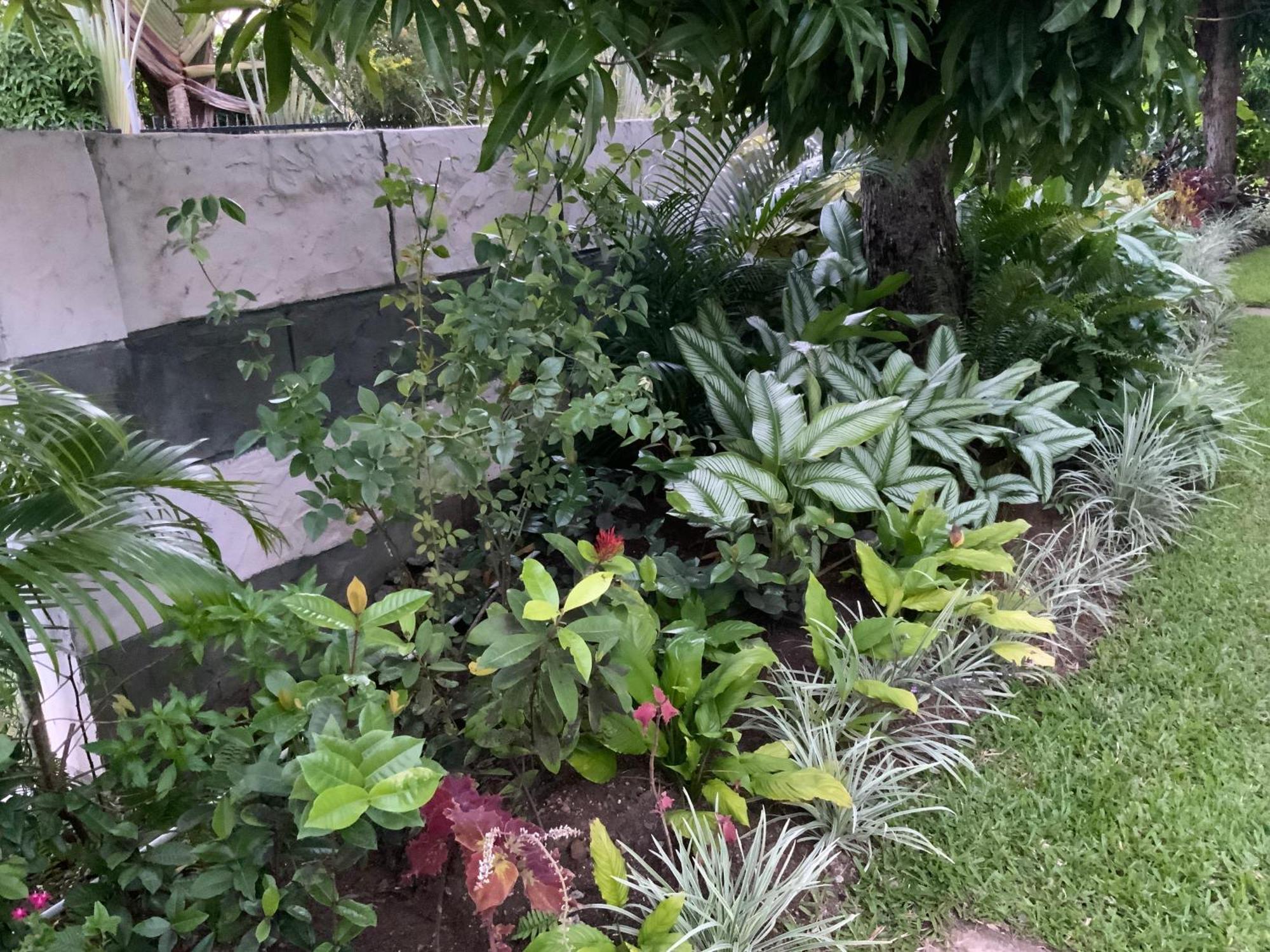 Marvey'S Place Castries Dış mekan fotoğraf