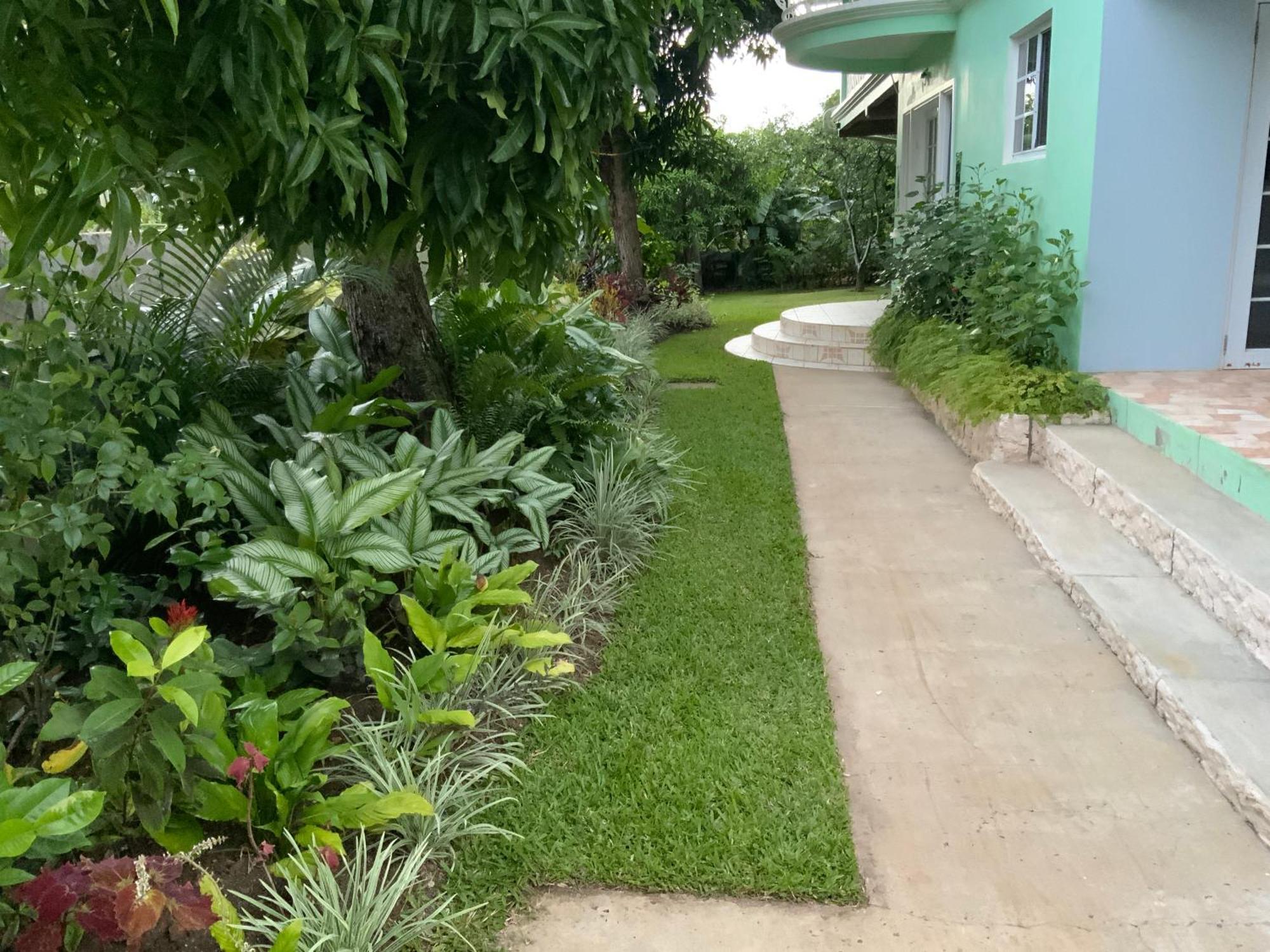 Marvey'S Place Castries Dış mekan fotoğraf